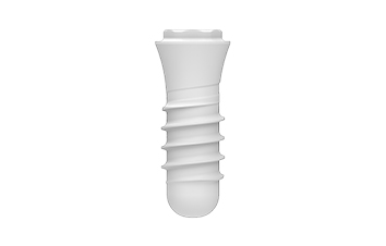 System image of a Zeramex P6 implant