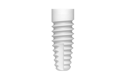 System image of a Zeramex XT implant